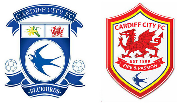 Cardiff City rebranding and the 2012-2013 season