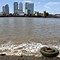 Dome to Greenwich walk - A summer stroll past old wharves and works, pubs and parks
