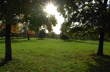 Hyde Park view, London