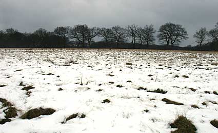 Snowy field, country walk, Kent