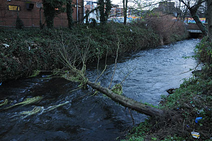 Merton Abbey Mills and Colliers Wood, Morden Hall Park and River Wandle walk, Merton, London, England, January 2008 - photo feature