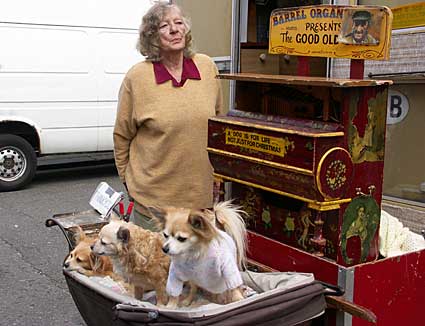 Barrel Organ and dogs, Portobello Street market, London w11