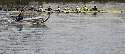 Rowers along the Thames, Surrey Bend, London