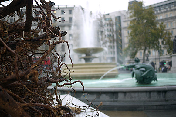 The Ghost Forest art installation, Trafalgar Square, central London, November, 2009