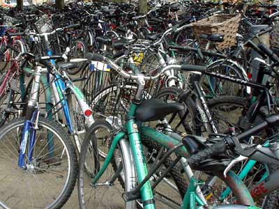 Bikes, bikes and more bikes! Cambridge, UK