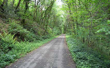 A bike ride from Princetown to Plymouth through Dartmoor and Yelverton, Devon, England, UK