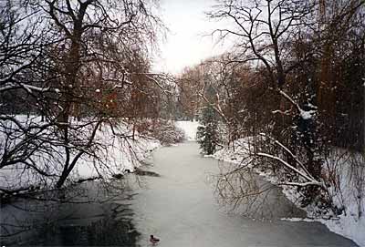 Hampstead Heath, winter