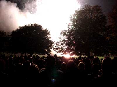 Smoke and trees, Fireworks night, Primrose Hill