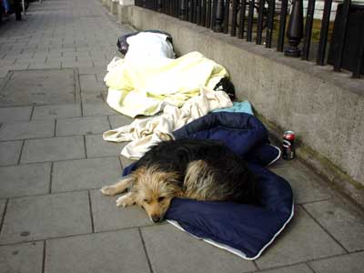 Homeless and Dog, Waterloo Bridge