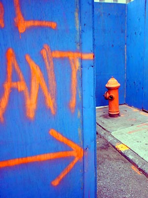 Orange and blue, Brooklyn, New York