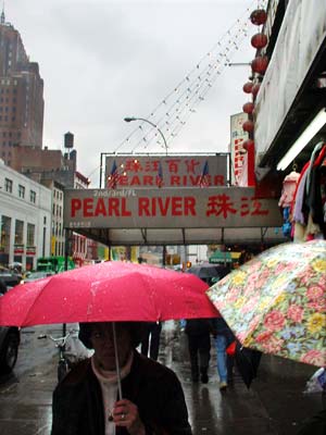 Pearl River, Canal Street, Chinatown, Manhattan, New York