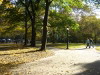 Autumn colours, Central Park, New York, USA