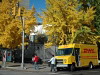 Yellow everywhere!, New York, USA