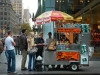 Fifth Avenue street vendor, New York, USA
