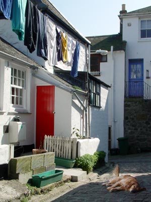 Sleeping dog and washing, St Ives Cornwall, March 2003