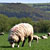 Hay to Glasbury, Hay, Powys, Wales