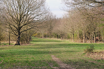 Ashtead and Epsom, a six mile walk around Ashtead and Epsom Commons, Surrey