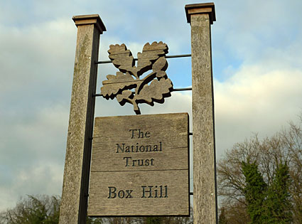 Box Hill walk,  National Trust, North Downs, Tadworth, Surrey, England UK