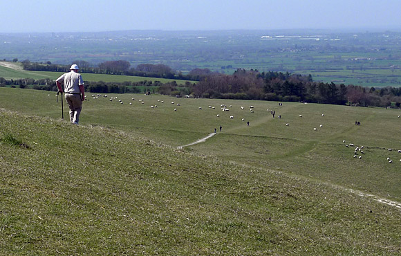 urban75 camping and walking holiday, Britchcombe Farm, Uffington, Faringdon, Oxfordshire, England UK, with walks to Lambourn over White Horse Hill, April 2010