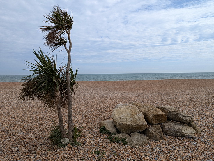 Folkestone in 60 photos: beach scenes, Charivari Day parade and night life