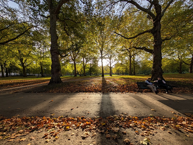 In photos: Green Park in October: autumn shades, squirrels and an influencer