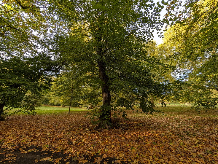 In photos: Green Park in October: autumn shades, squirrels and an influencer