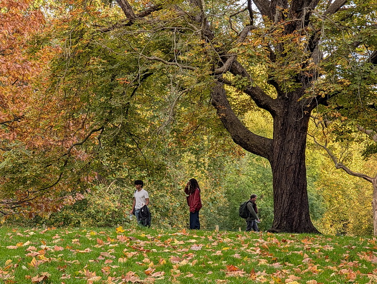 In photos: Green Park in October: autumn shades, squirrels and an influencer