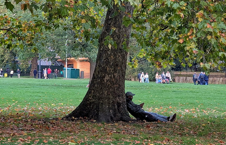 In photos: Green Park in October: autumn shades, squirrels and an influencer