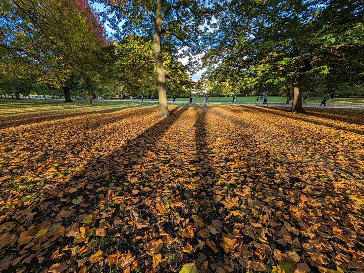 In photos: Green Park in October: autumn shades, squirrels and an influencer