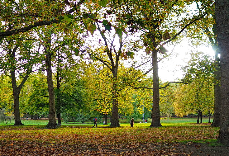 In photos: Green Park in October: autumn shades, squirrels and an influencer