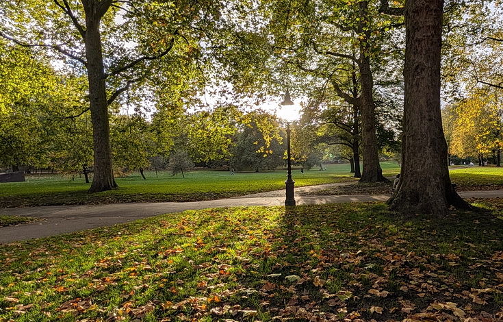 In photos: Green Park in October: autumn shades, squirrels and an influencer