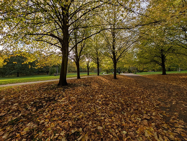 In photos: Green Park in October: autumn shades, squirrels and an influencer