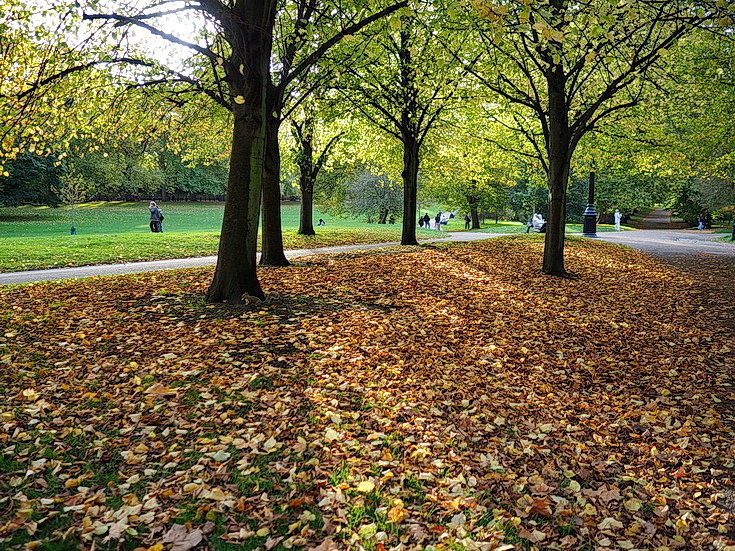 In photos: Green Park in October: autumn shades, squirrels and an influencer