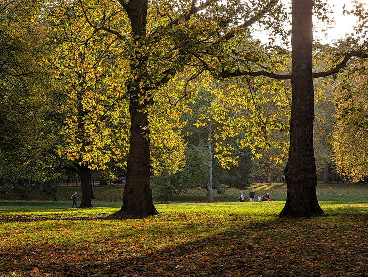 In photos: Green Park in October: autumn shades, squirrels and an influencer