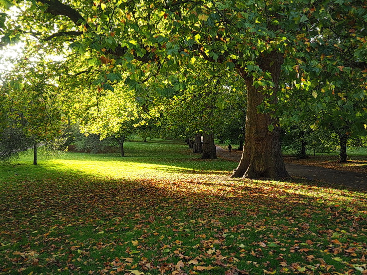 In photos: Green Park in October: autumn shades, squirrels and an influencer