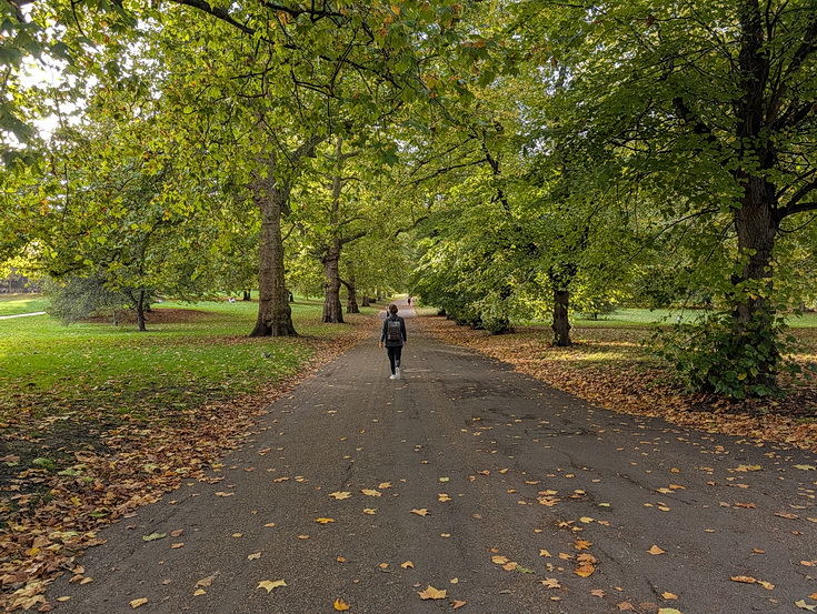 In photos: Green Park in October: autumn shades, squirrels and an influencer