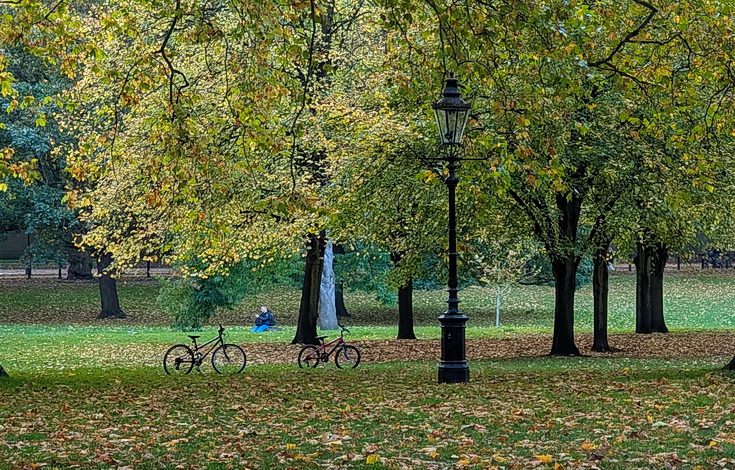 In photos: Green Park in October: autumn shades, squirrels and an influencer