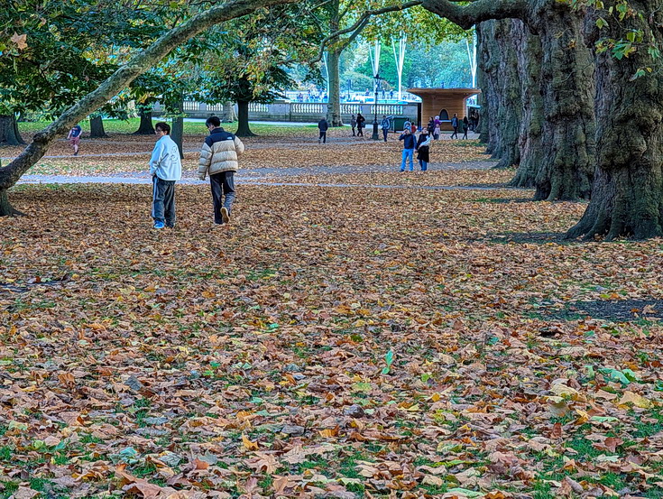 In photos: Green Park in October: autumn shades, squirrels and an influencer