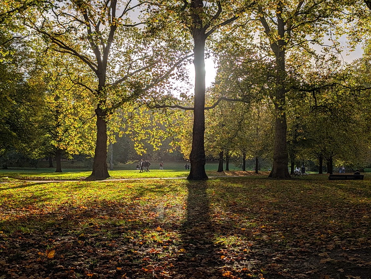 In photos: Green Park in October: autumn shades, squirrels and an influencer