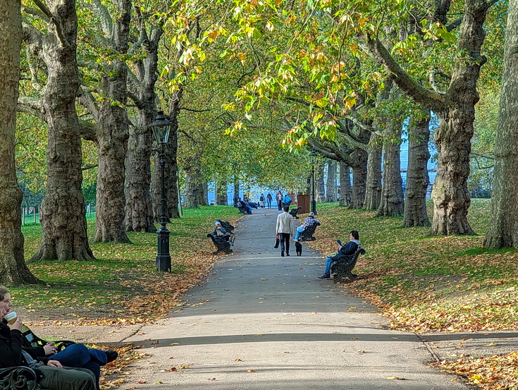 In photos: Green Park in October: autumn shades, squirrels and an influencer