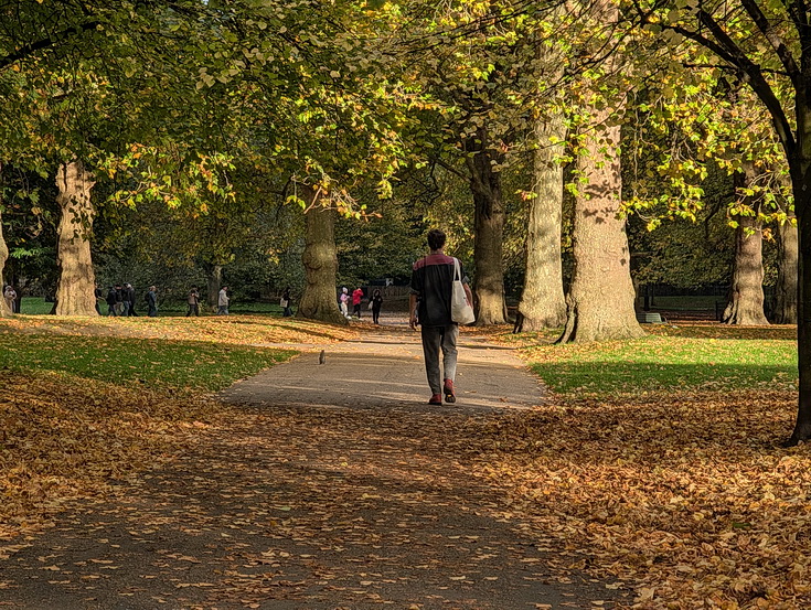 In photos: Green Park in October: autumn shades, squirrels and an influencer