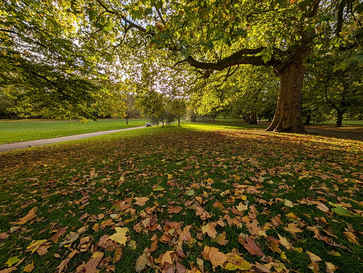 In photos: Green Park in October: autumn shades, squirrels and an influencer