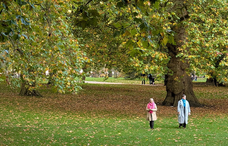 In photos: Green Park in October: autumn shades, squirrels and an influencer