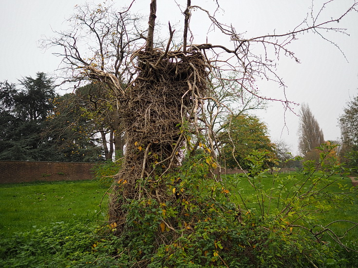 In photos: a wonderful autumnal walk from Hampton Court to Kingston alongside the River Thames