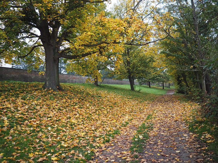 In photos: a wonderful autumnal walk from Hampton Court to Kingston alongside the River Thames