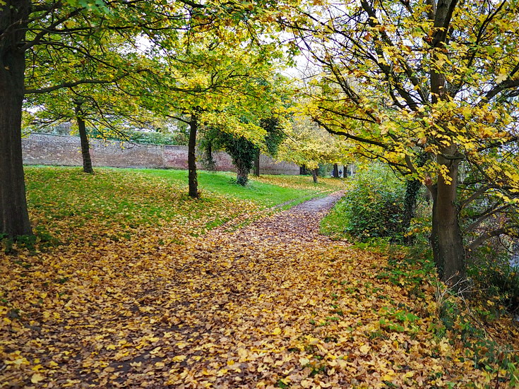 In photos: a wonderful autumnal walk from Hampton Court to Kingston alongside the River Thames