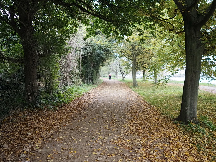 In photos: a wonderful autumnal walk from Hampton Court to Kingston alongside the River Thames