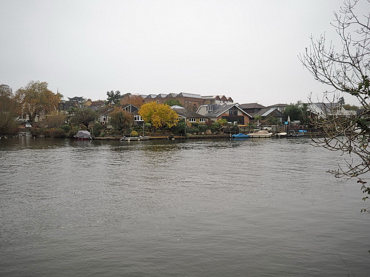 In photos: a wonderful autumnal walk from Hampton Court to Kingston alongside the River Thames