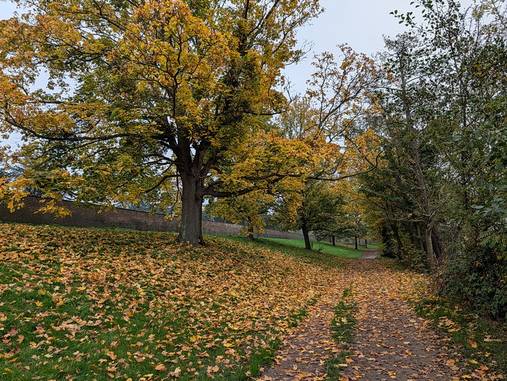 In photos: a wonderful autumnal walk from Hampton Court to Kingston alongside the River Thames