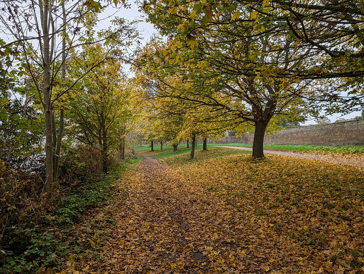 In photos: a wonderful autumnal walk from Hampton Court to Kingston alongside the River Thames